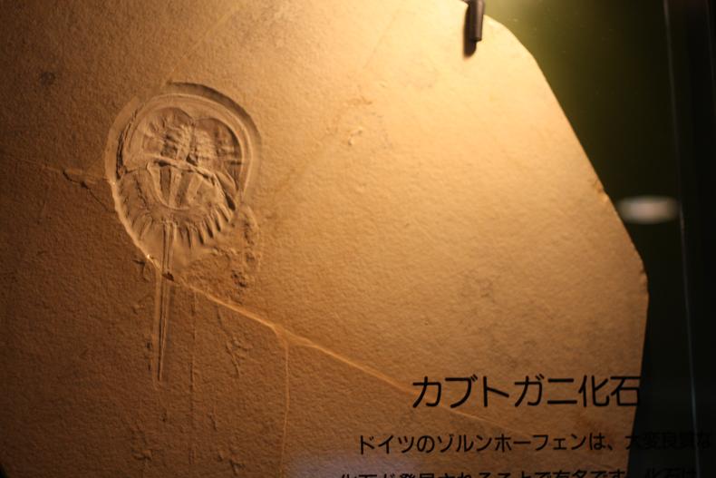 e0175068_7404497.jpg