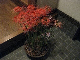 e0175868_2127194.jpg