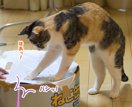 小梅んルーレット!~大抽選大会~_a0119470_0151543.jpg