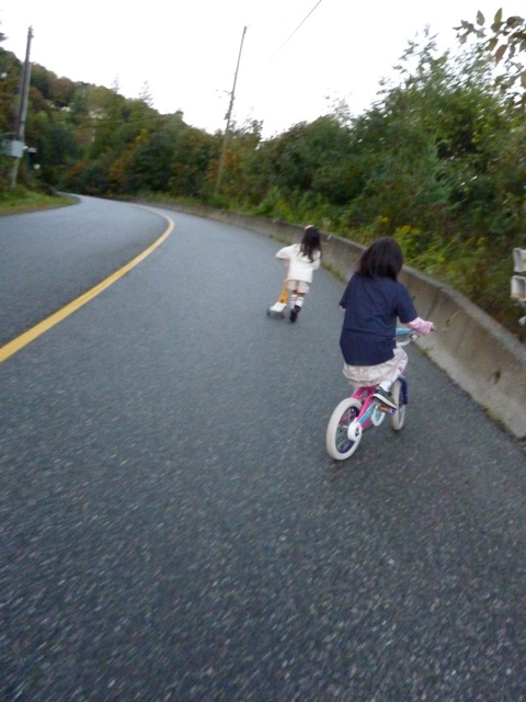不思議な粉の効果はいかに。_c0080075_2314157.jpg
