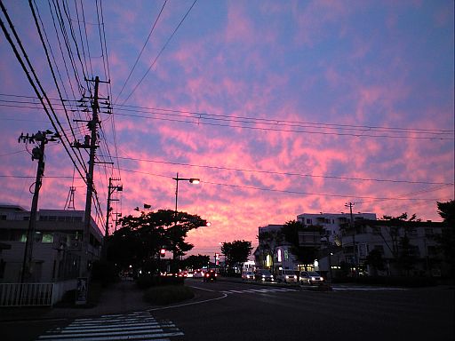 綺麗な夕焼けでした！_a0025476_22583112.jpg