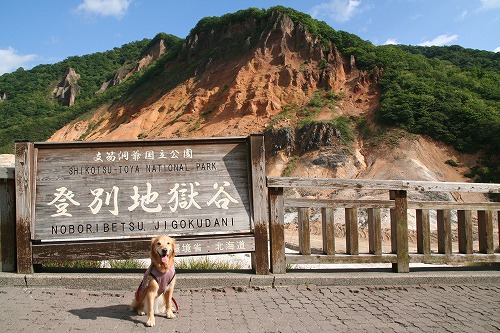 北海道旅行 Ⅱ_c0172184_19515418.jpg