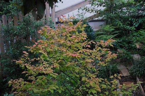 c0124100_020223.jpg