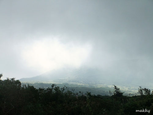 a0115202_2320345.jpg