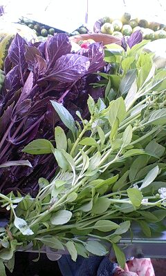 c0163102_2043249.jpg