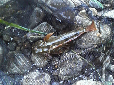 f0082402_2264829.jpg