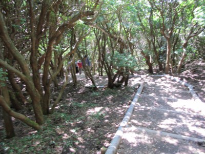 c0036203_1692214.jpg
