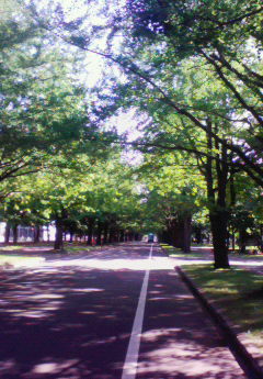 c0210803_12323248.jpg