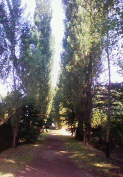 c0210803_12335432.jpg