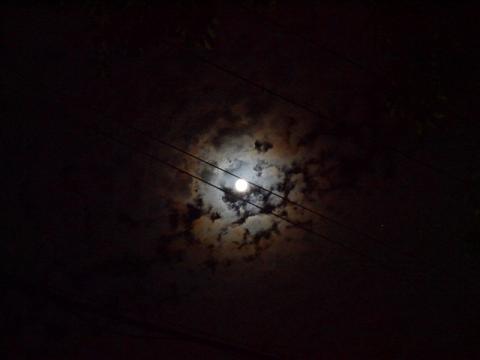 c0098304_203534.jpg