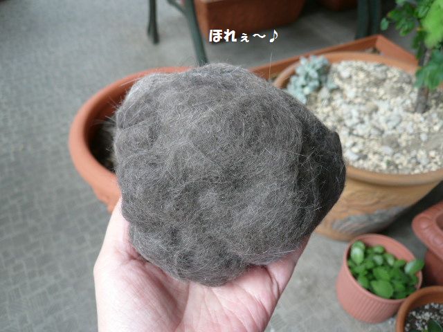 e0094407_12345449.jpg