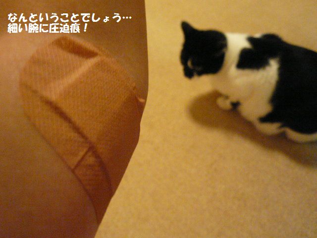 e0094407_13434597.jpg