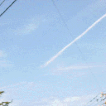 e0103408_10414970.gif