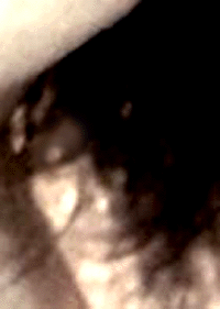 e0103408_12194964.gif
