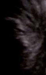 e0103408_12285545.gif