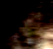 e0103408_12291093.gif