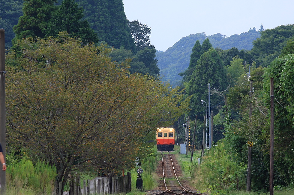 駅が楽しい小湊鉄道(2) - 上総中野も昭和の雰囲気 -_b0190710_2283058.jpg