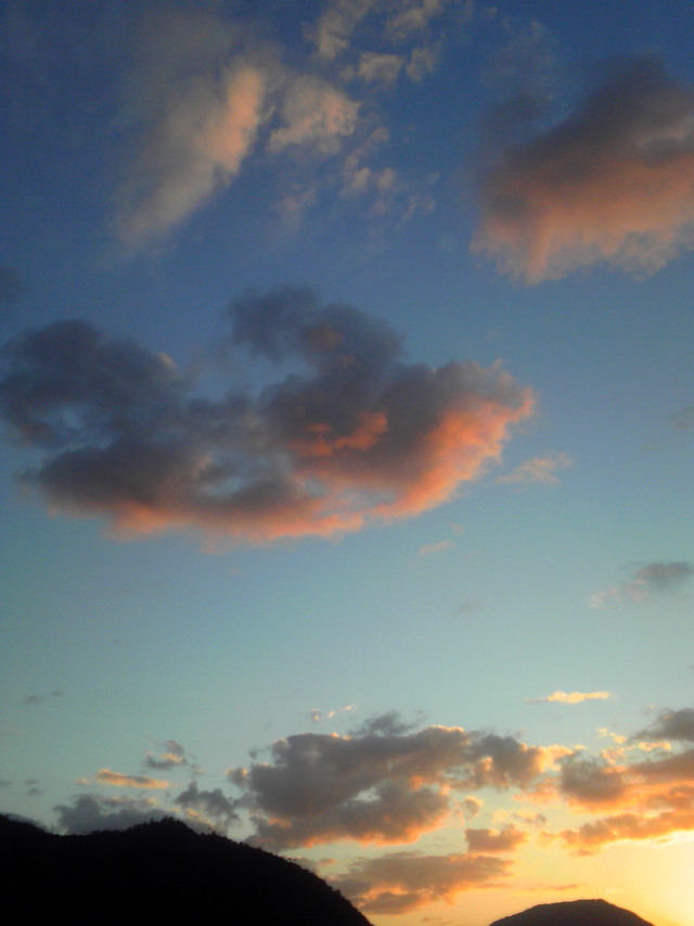 f0054610_11581448.jpg