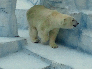 天王寺動物園の爽やかな初秋の夕刻_a0151913_1828461.jpg