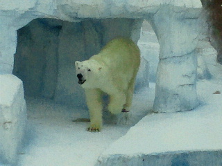 天王寺動物園の爽やかな初秋の夕刻_a0151913_1828468.jpg