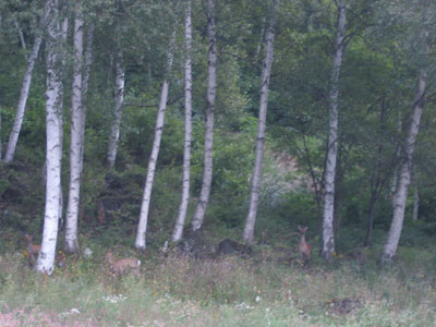 b0107314_14254610.jpg