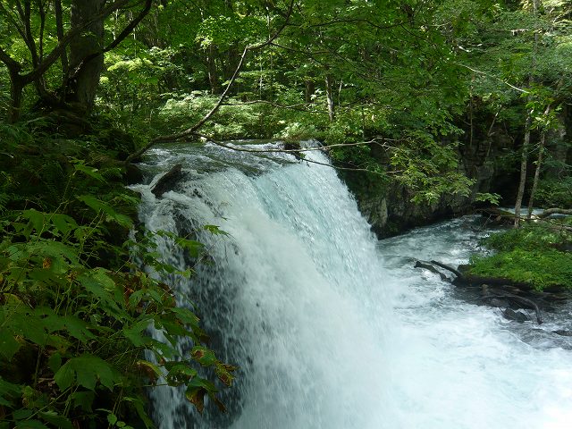 奥入瀬渓流♪_f0223914_23263510.jpg
