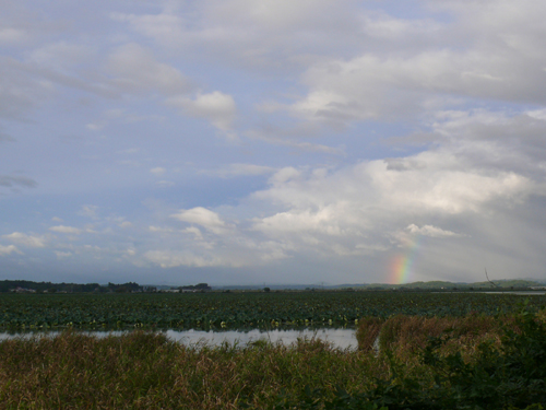 f0052323_18284313.jpg