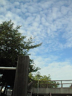 a0127331_17353954.jpg