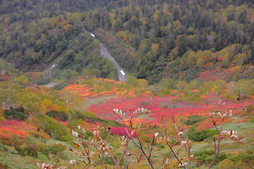 ９月２５日“赤岳の秋”_d0069235_2204876.jpg