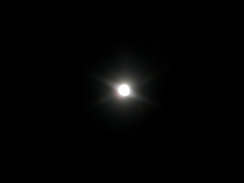 f0227137_75865.jpg