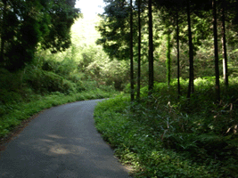 b0209142_12332936.gif