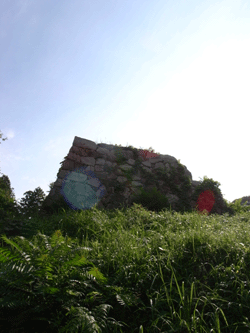 b0209142_12565531.gif