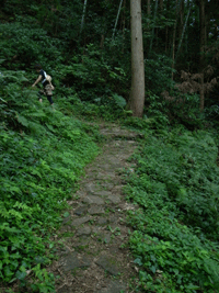 b0209142_1327481.gif