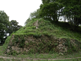 b0209142_1340266.gif