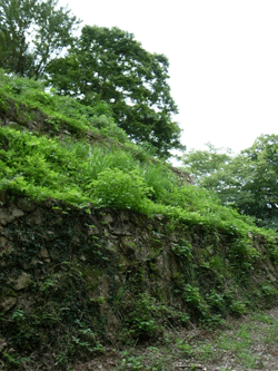 b0209142_1454024.gif
