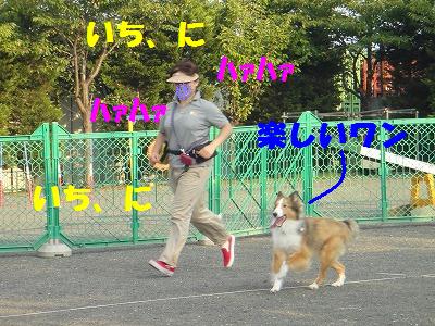 すべり台が好き♪_e0195743_248866.jpg