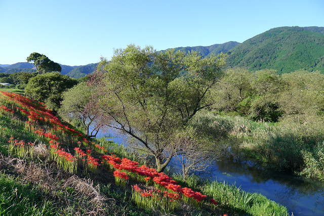 b0088444_21595344.jpg