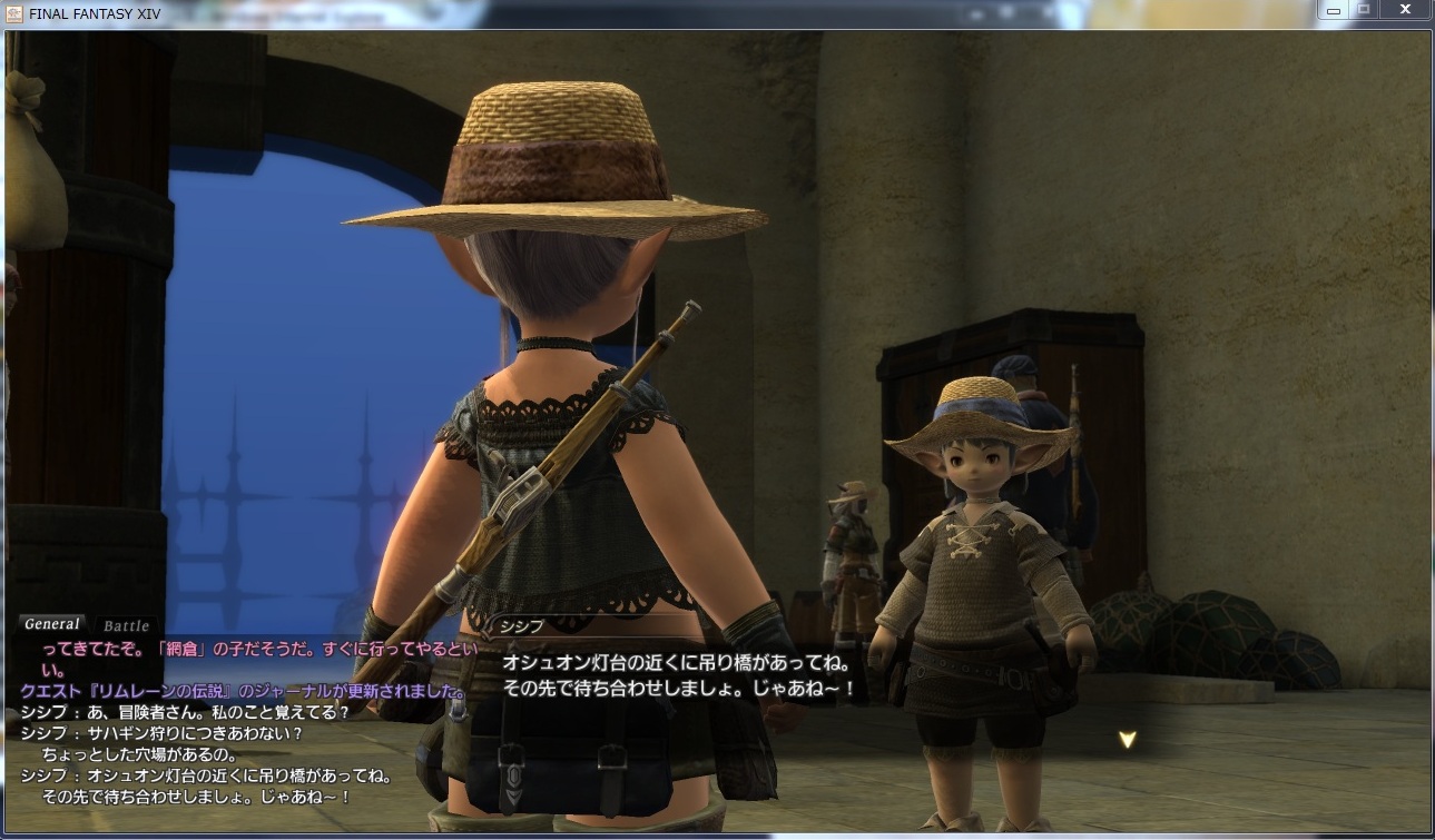 FF11ユーザー向けFF14講座①基本操作編_f0199146_271097.jpg