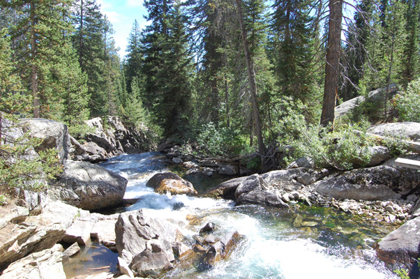 d0114149_8173318.jpg