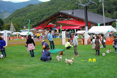 a0147150_18335144.jpg