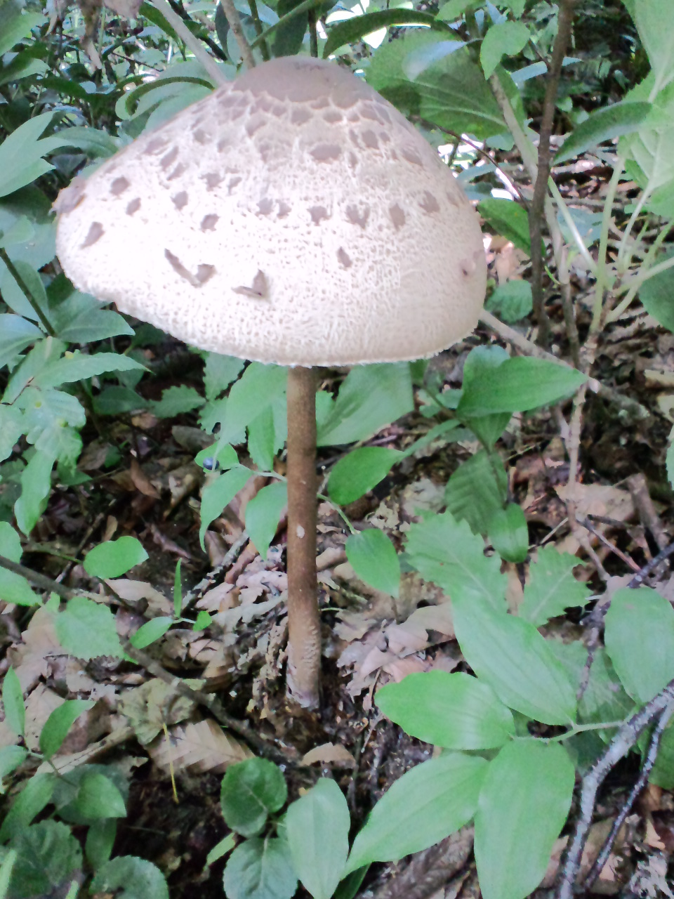 f0104457_126775.jpg