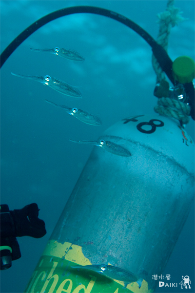 2010.09.24 Fri. みなべ・田辺_e0158261_673788.jpg