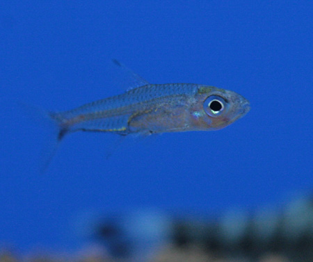 a0162263_2102020.jpg