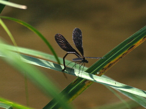 f0208666_21464590.jpg