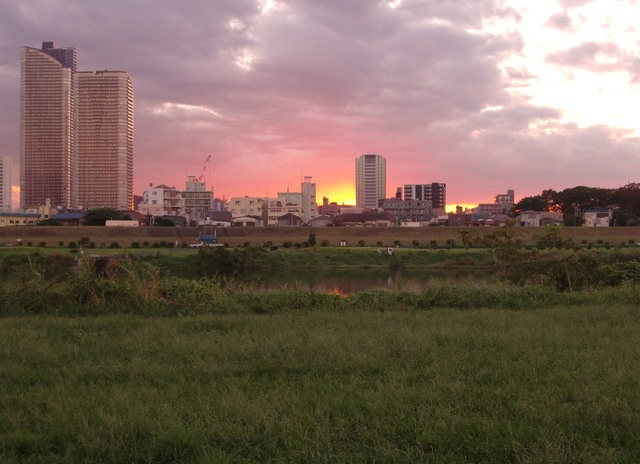 夕方の多摩川散歩で_a0109467_20535046.jpg