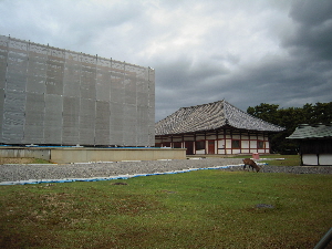 旅日記-15 「興福寺」_e0033570_19514028.jpg