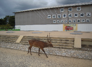 旅日記-15 「興福寺」_e0033570_1952338.jpg