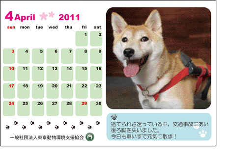 来年のカレンダーいかがですかー_c0073272_22594430.jpg