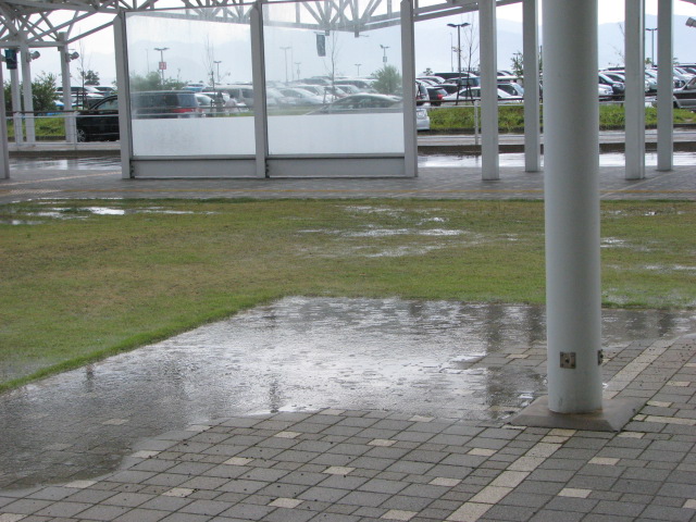 b0161073_016253.jpg