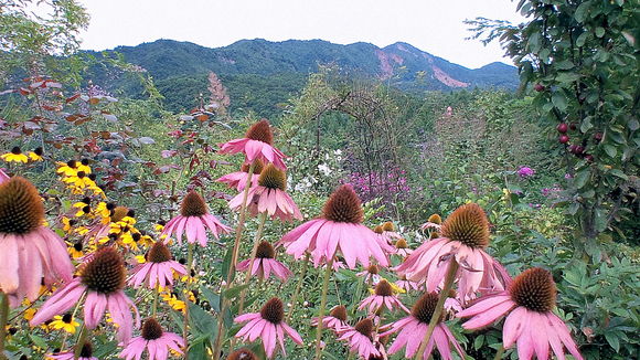 山形県上山市にある蔵王ペンション村のペンションで_d0159273_7105156.jpg